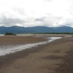 Playa Nuqui