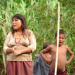 indigena