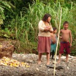indigena