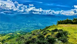 Turismo con sabor a Café Turismo con sabor a Café
