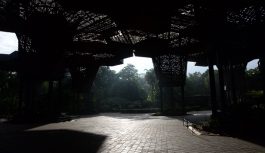 Ven a Florecer, la otra parte de la Feria en el Jardín Botánico Ven a Florecer, la otra parte de la Feria en el Jardín Botánico
