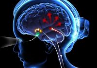 Atención a la Salud Mental en Colombia: Innovadoras Respuestas y Acciones Transformadoras