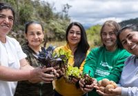 Renault Sofasa: 55 Años de Impacto Social y Sostenibilidad en Colombia