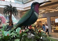 Del trino de los colibríes a los sabores de mi tierra: La experiencia sensorial que me enamoró en El Tesoro
